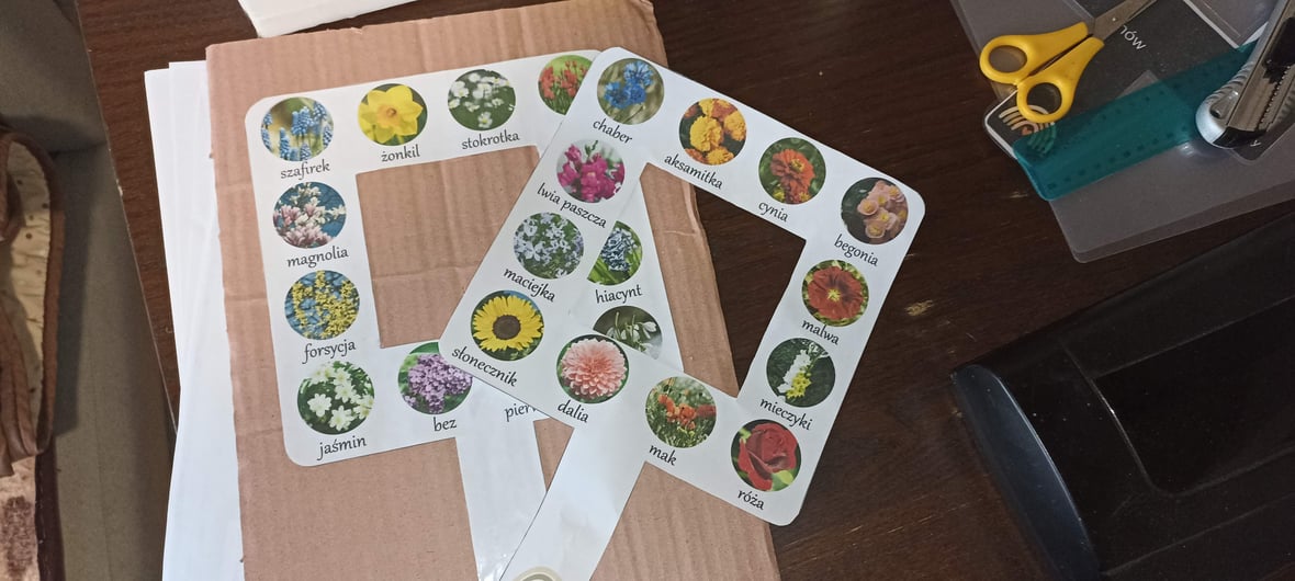 Zdjęcie główne wgrane przez użytkownika