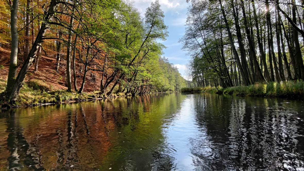 Zdjęcie główne wgrane przez użytkownika