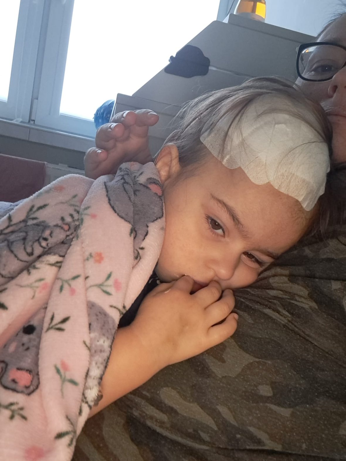 Zdjęcie główne wgrane przez użytkownika