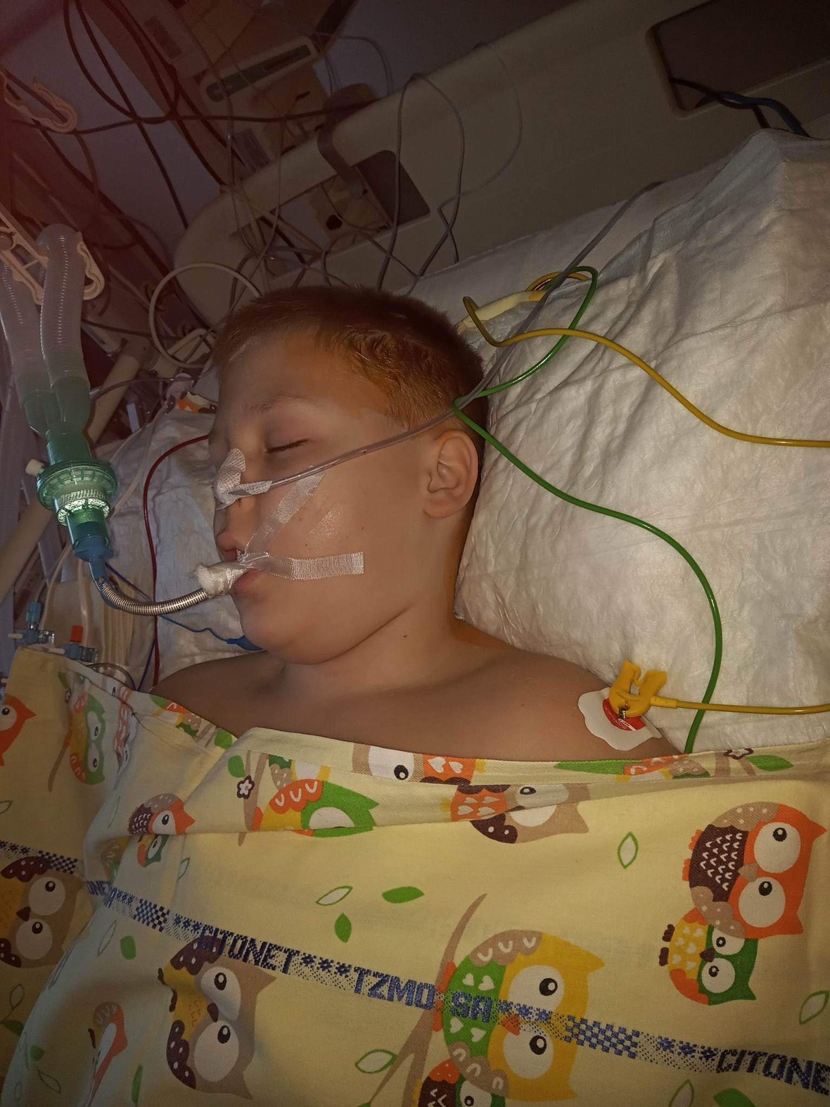 Zdjęcie główne wgrane przez użytkownika