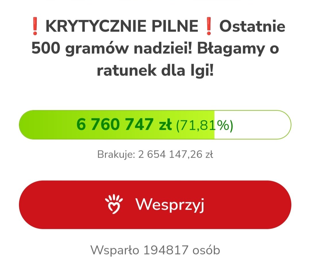 Zdjęcie główne wgrane przez użytkownika