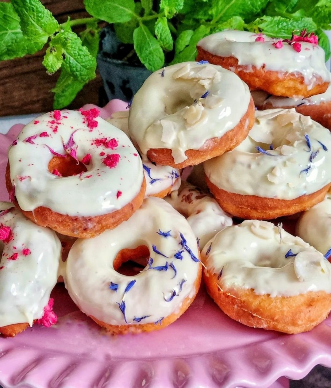 Zdjęcie główne wgrane przez użytkownika