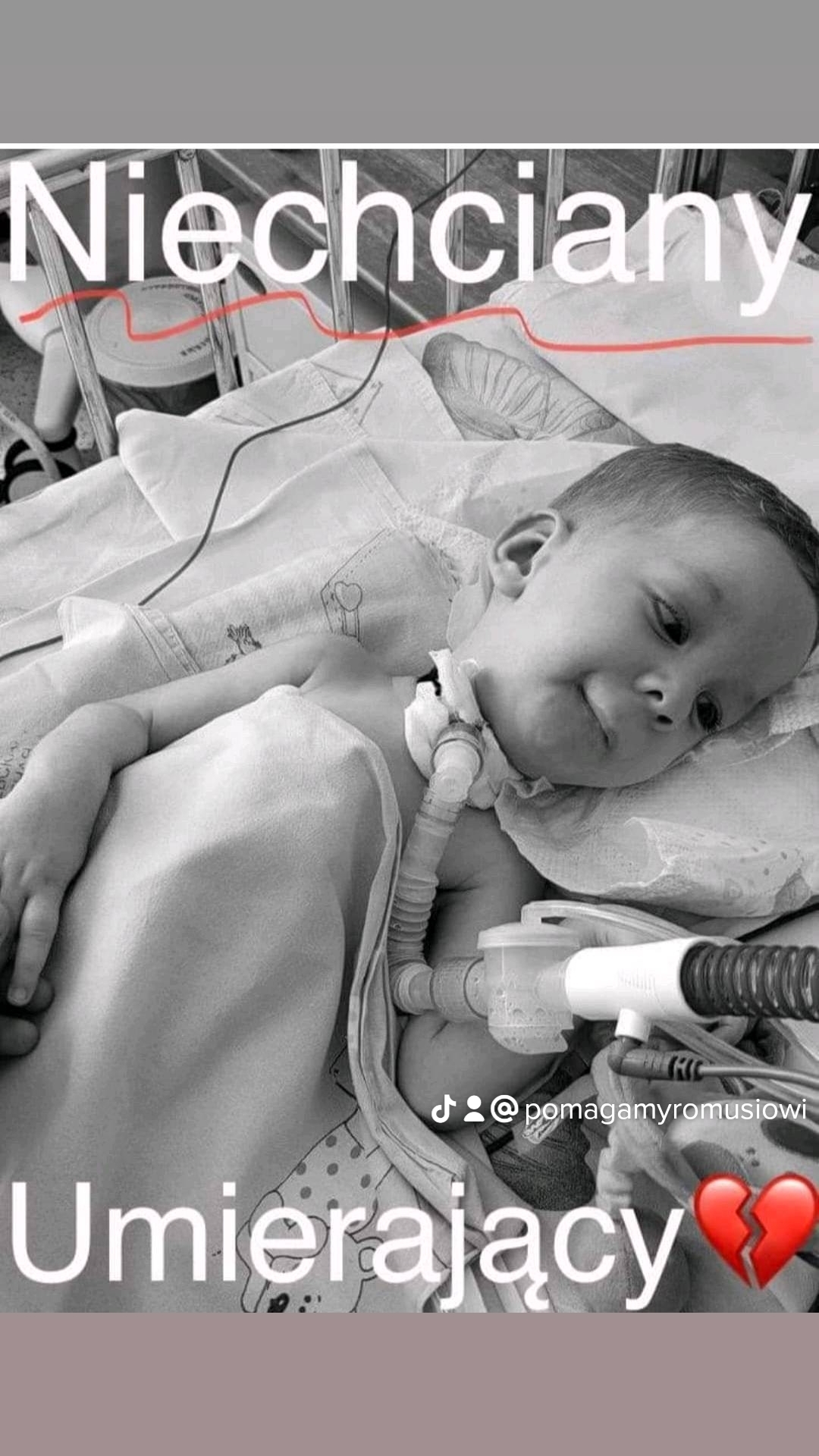 Zdjęcie główne wgrane przez użytkownika