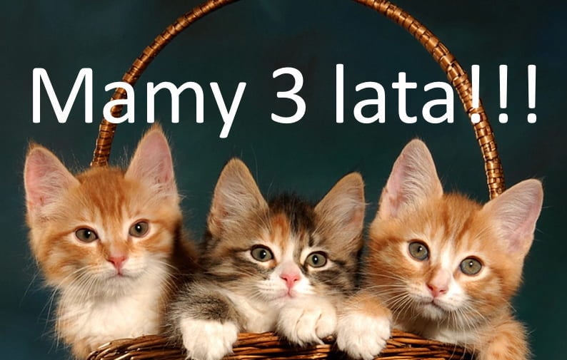 Main photo uploaded by the user