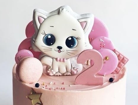 Zdjęcie główne wgrane przez użytkownika