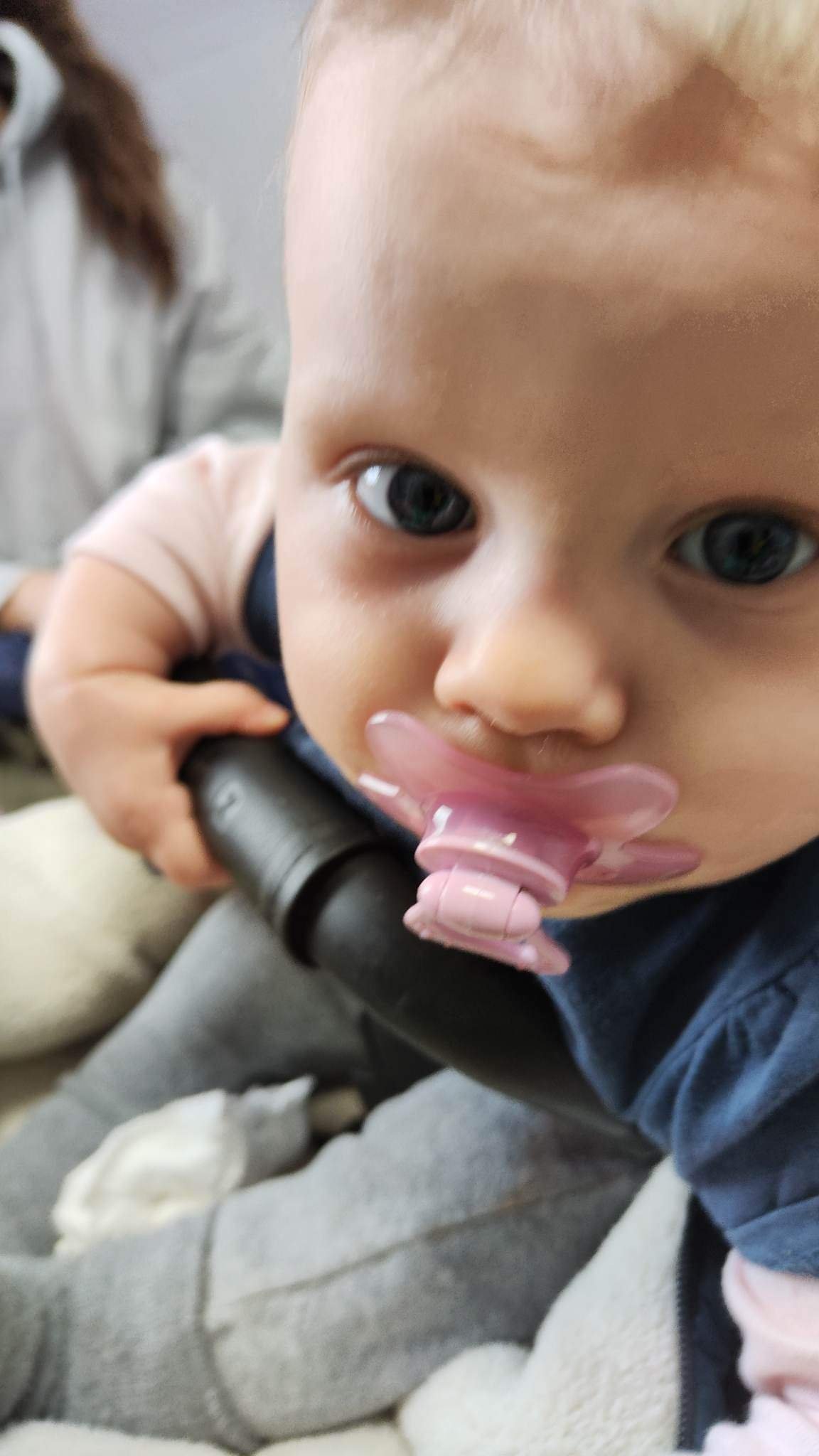 Zdjęcie główne wgrane przez użytkownika