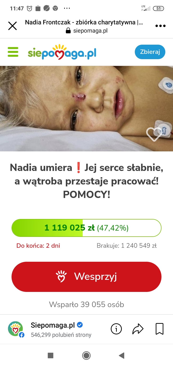 Zdjęcie główne wgrane przez użytkownika