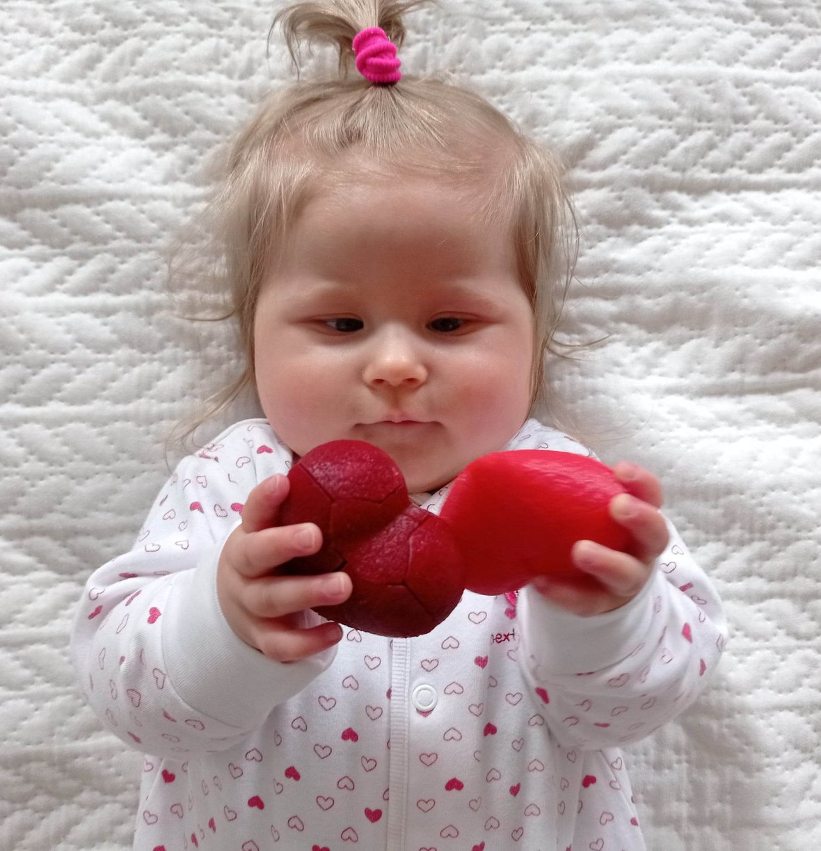 Zdjęcie główne wgrane przez użytkownika