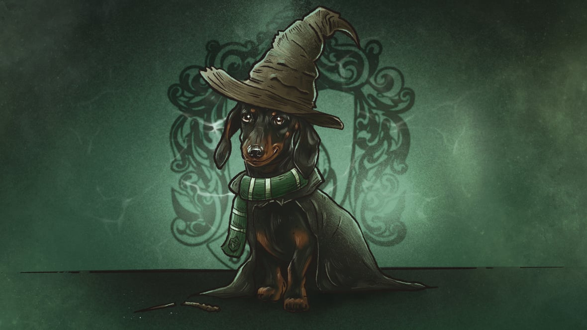 Main photo uploaded by the user