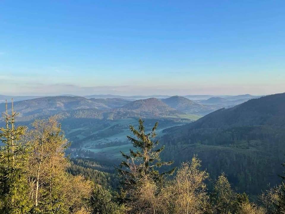 Zdjęcie główne wgrane przez użytkownika