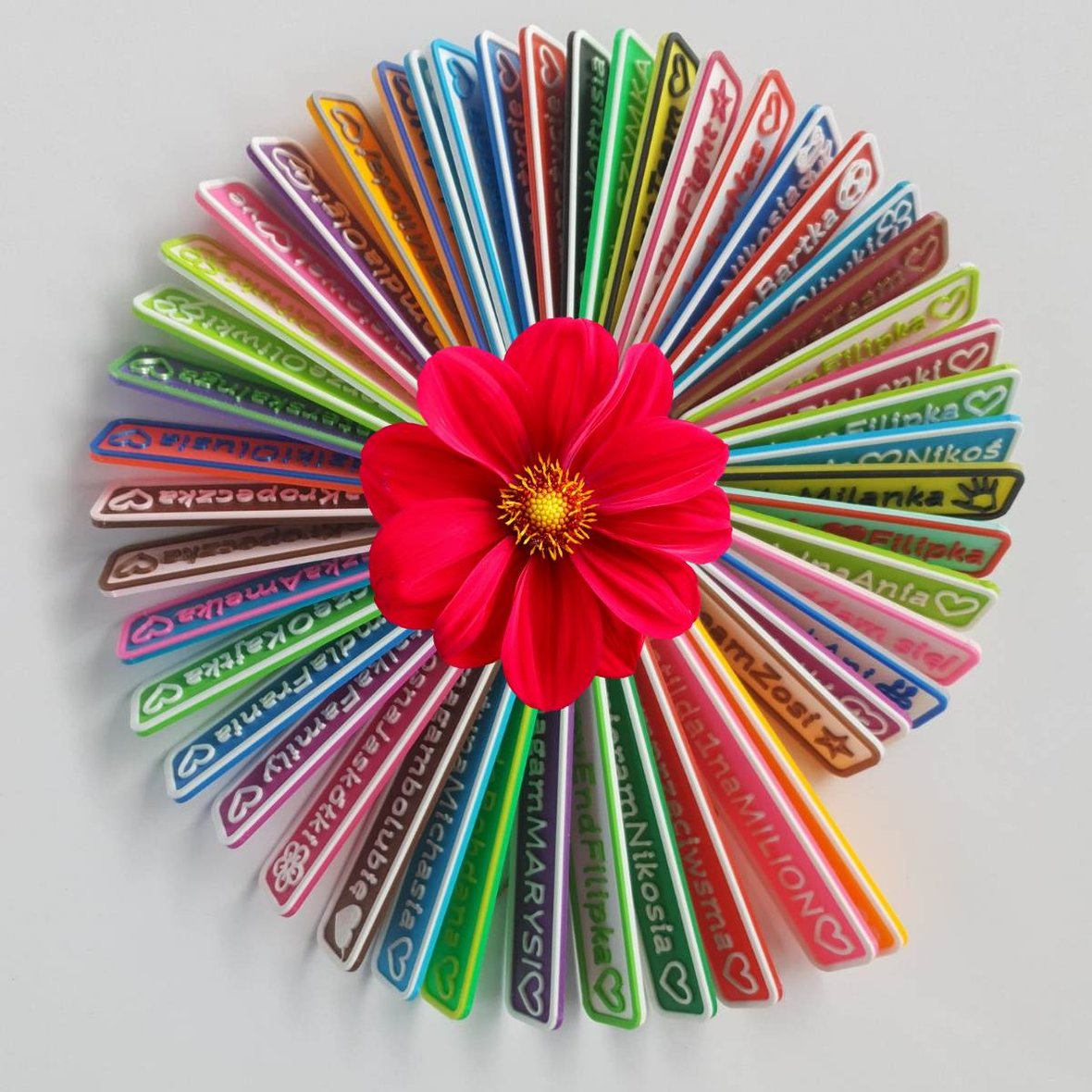 Main photo uploaded by the user