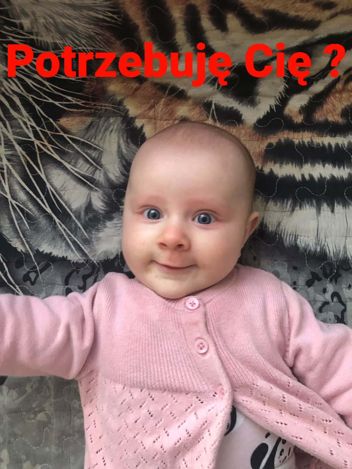 Zdjęcie główne wgrane przez użytkownika