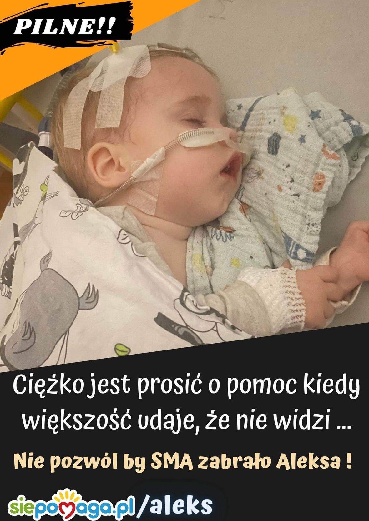 Zdjęcie główne wgrane przez użytkownika