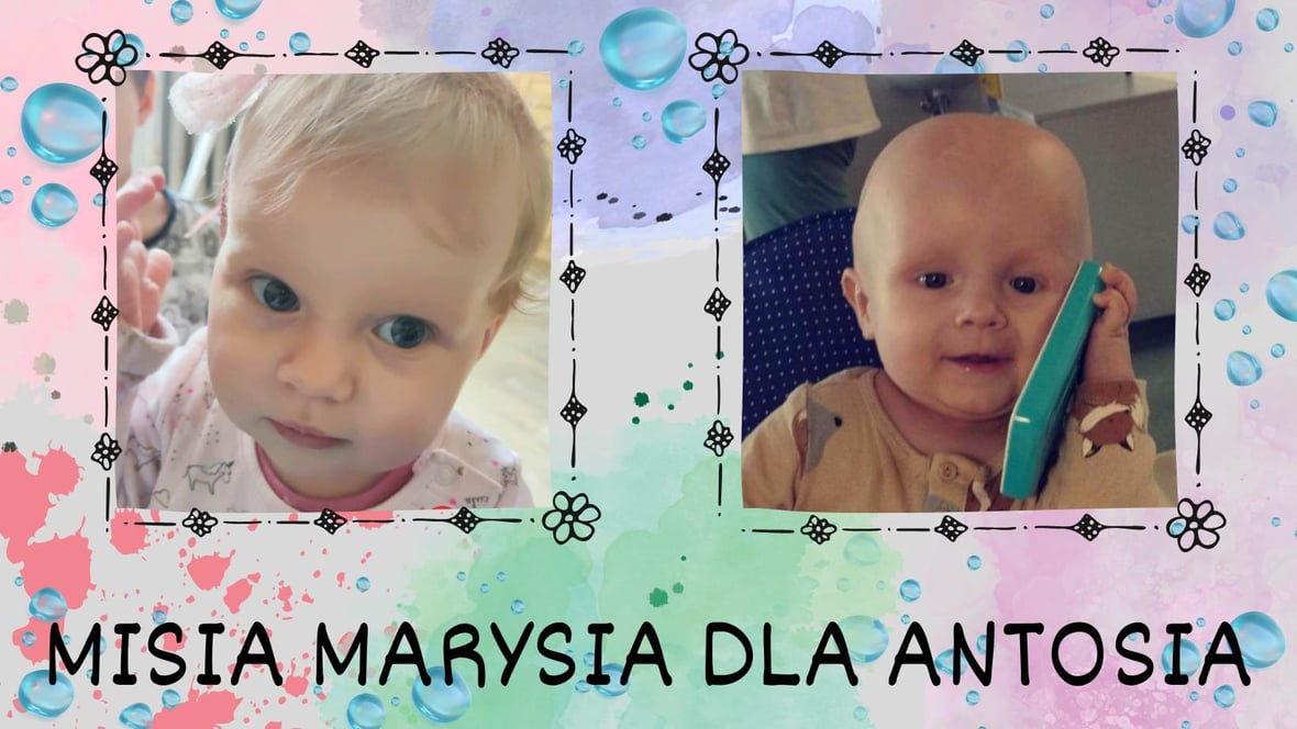 Main photo uploaded by the user