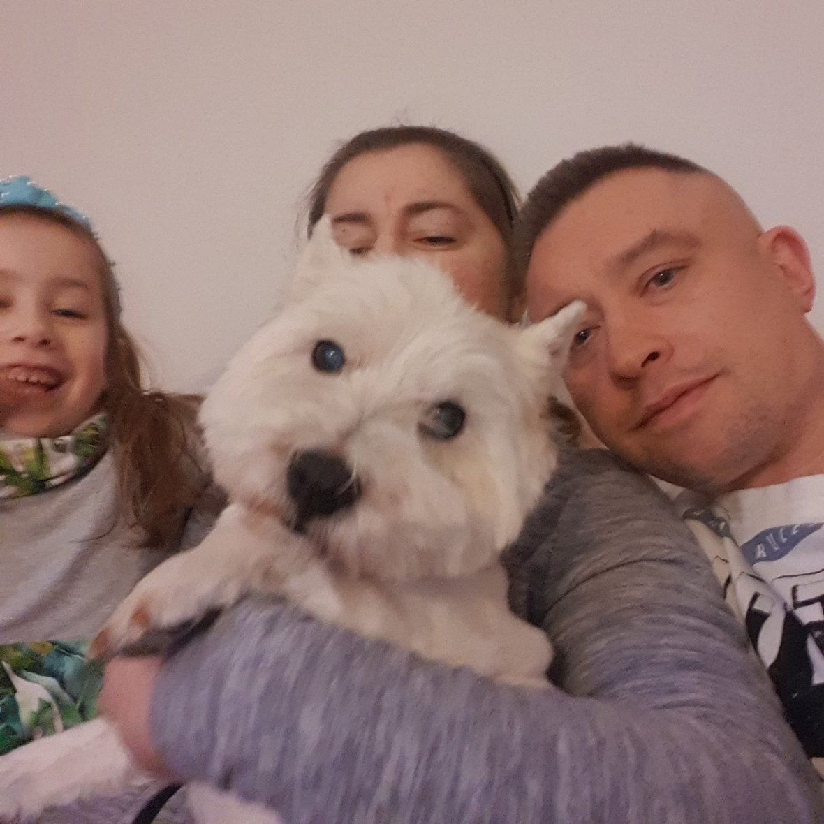 Zdjęcie główne wgrane przez użytkownika