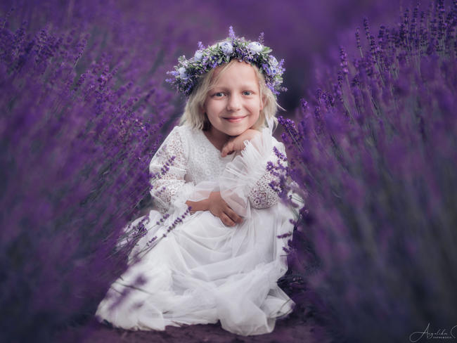 Main photo uploaded by the user