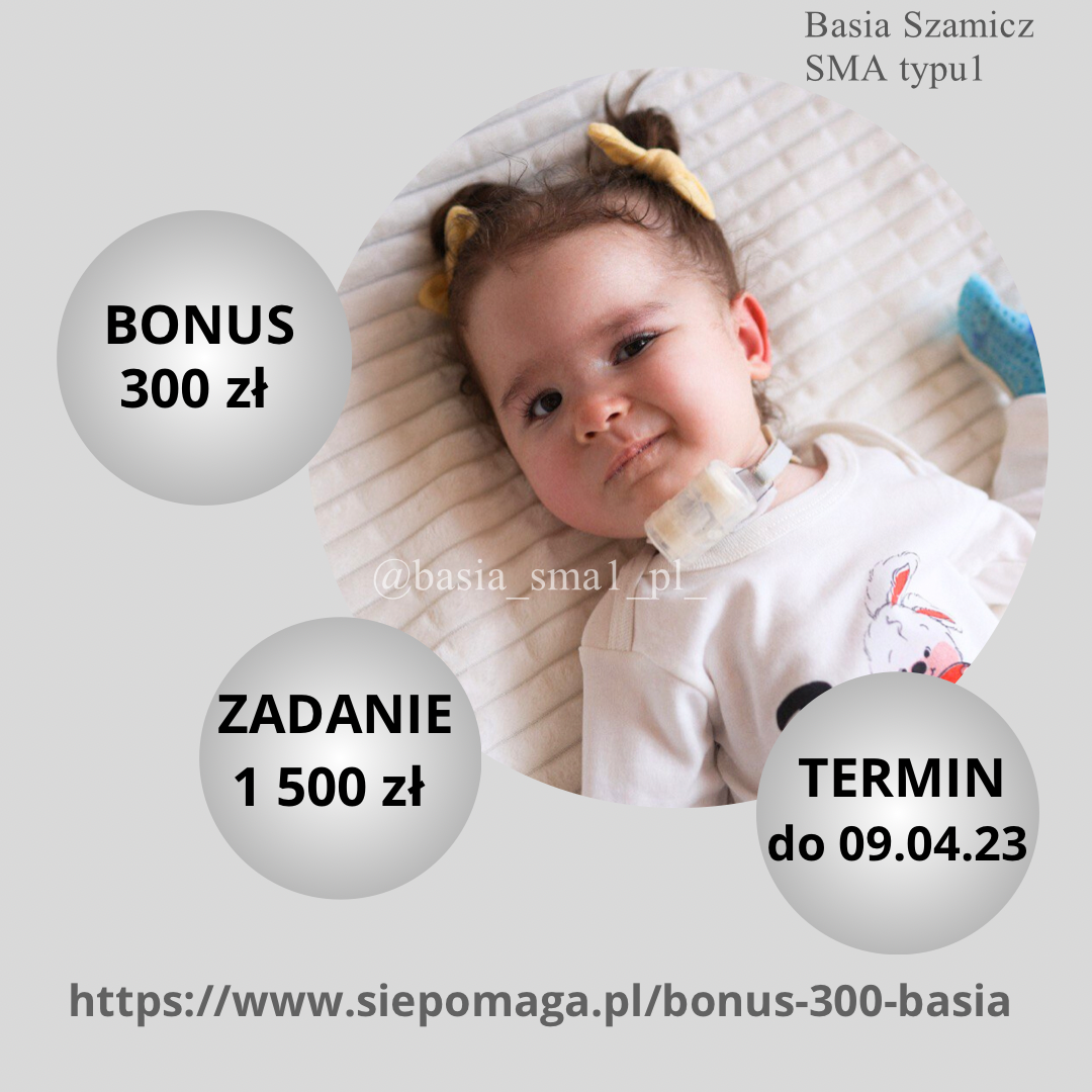 Zdjęcie główne wgrane przez użytkownika