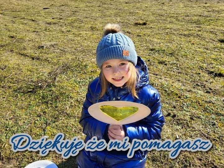 Zdjęcie główne wgrane przez użytkownika