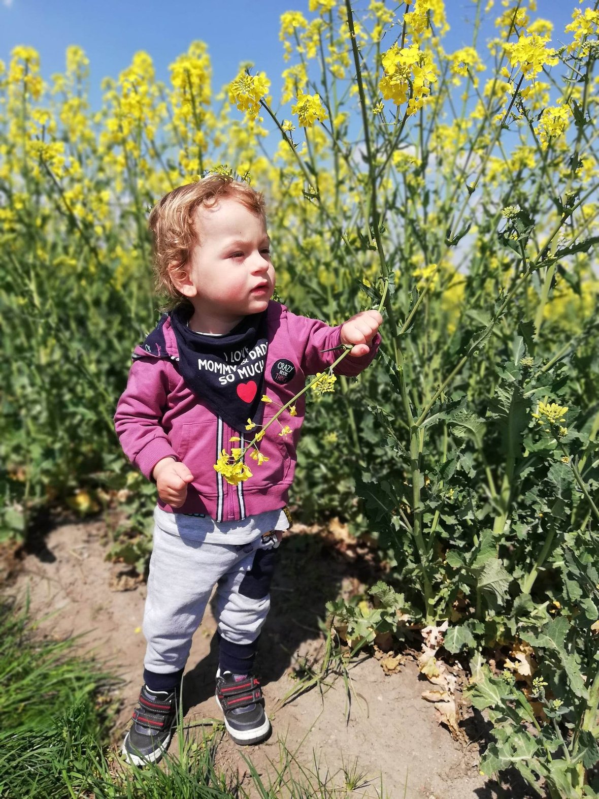 Main photo uploaded by the user