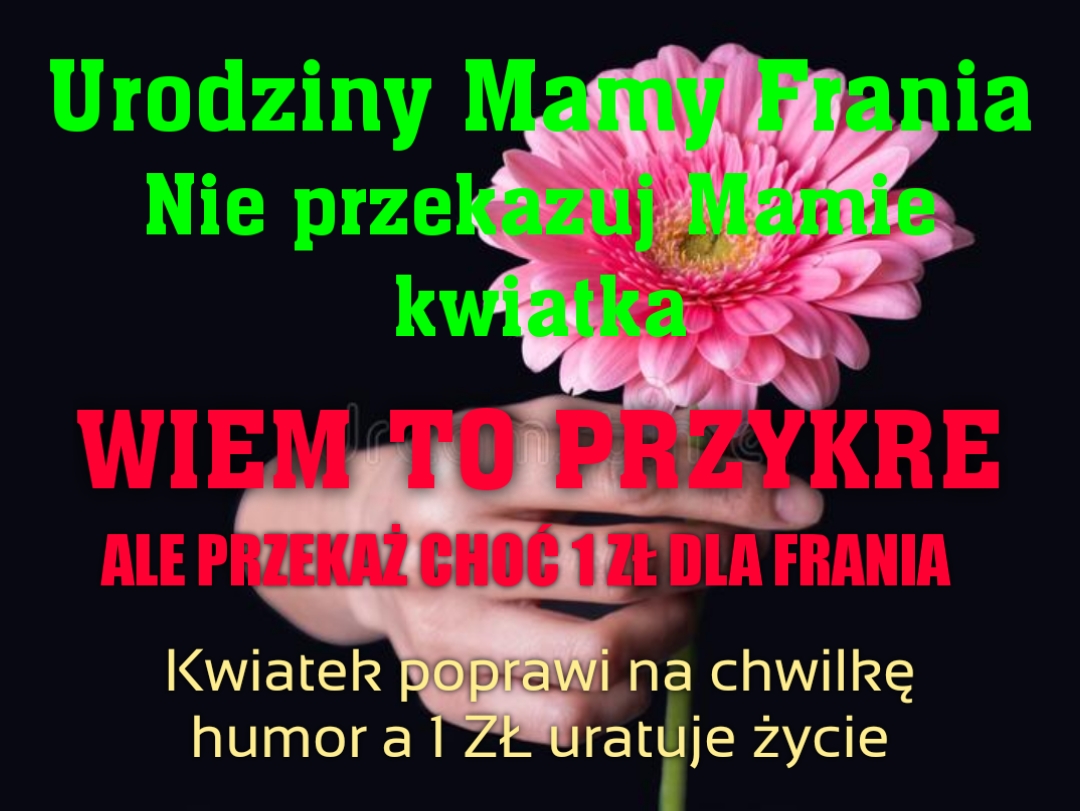 Zdjęcie główne wgrane przez użytkownika