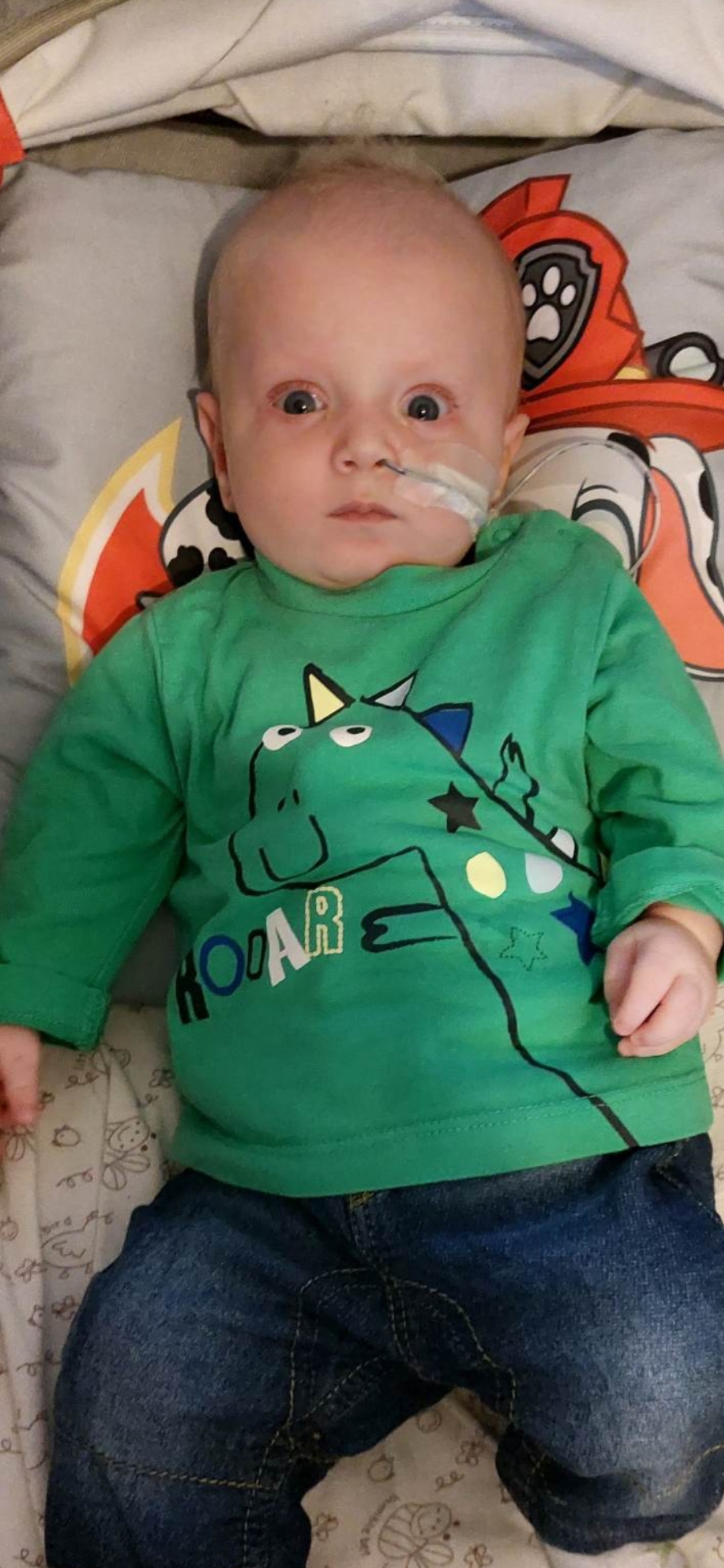 Zdjęcie główne wgrane przez użytkownika