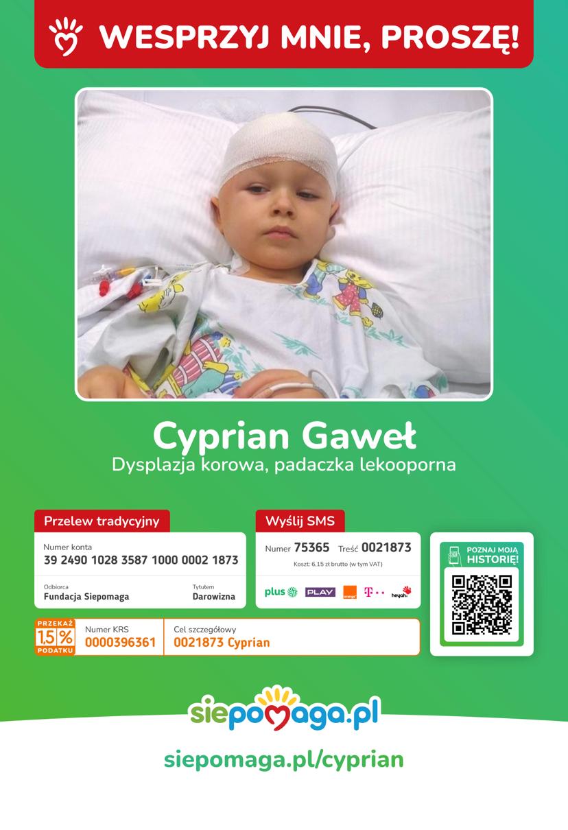 Zdjęcie główne wgrane przez użytkownika