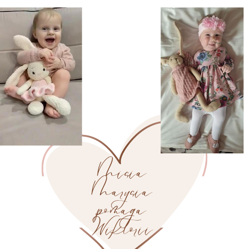 Zdjęcie główne wgrane przez użytkownika