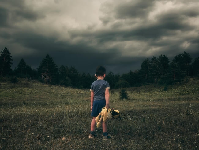 Zdjęcie główne wgrane przez użytkownika