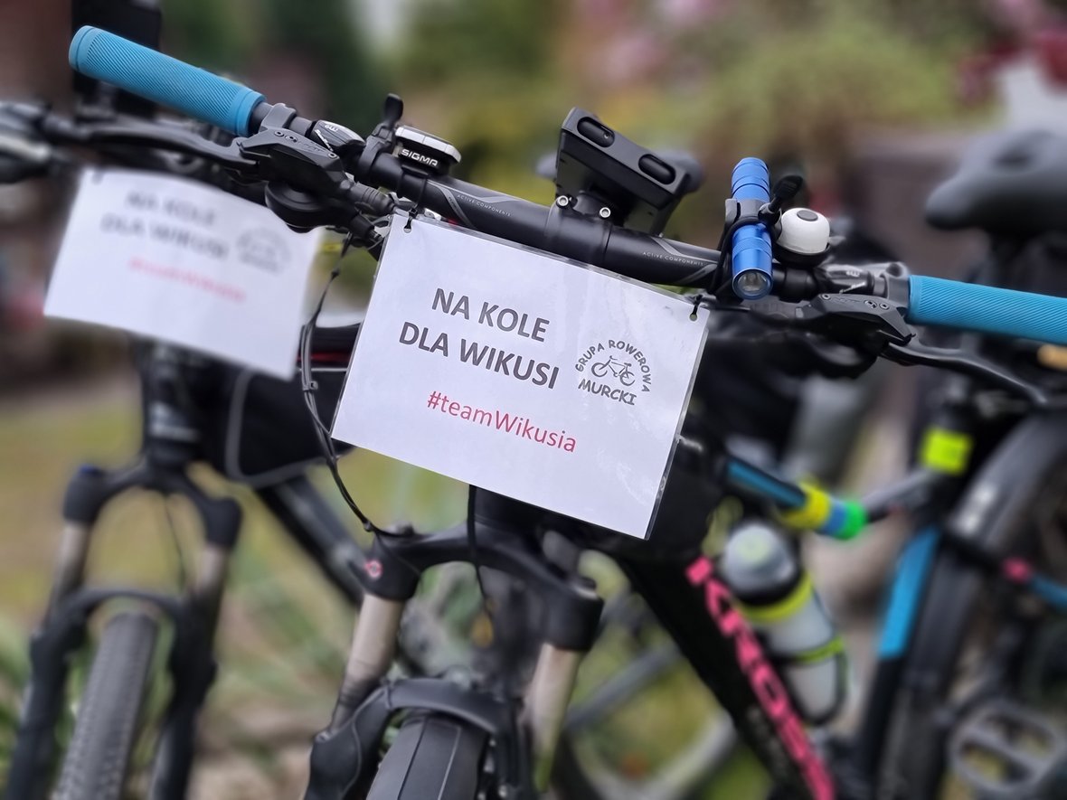 Zdjęcie główne wgrane przez użytkownika