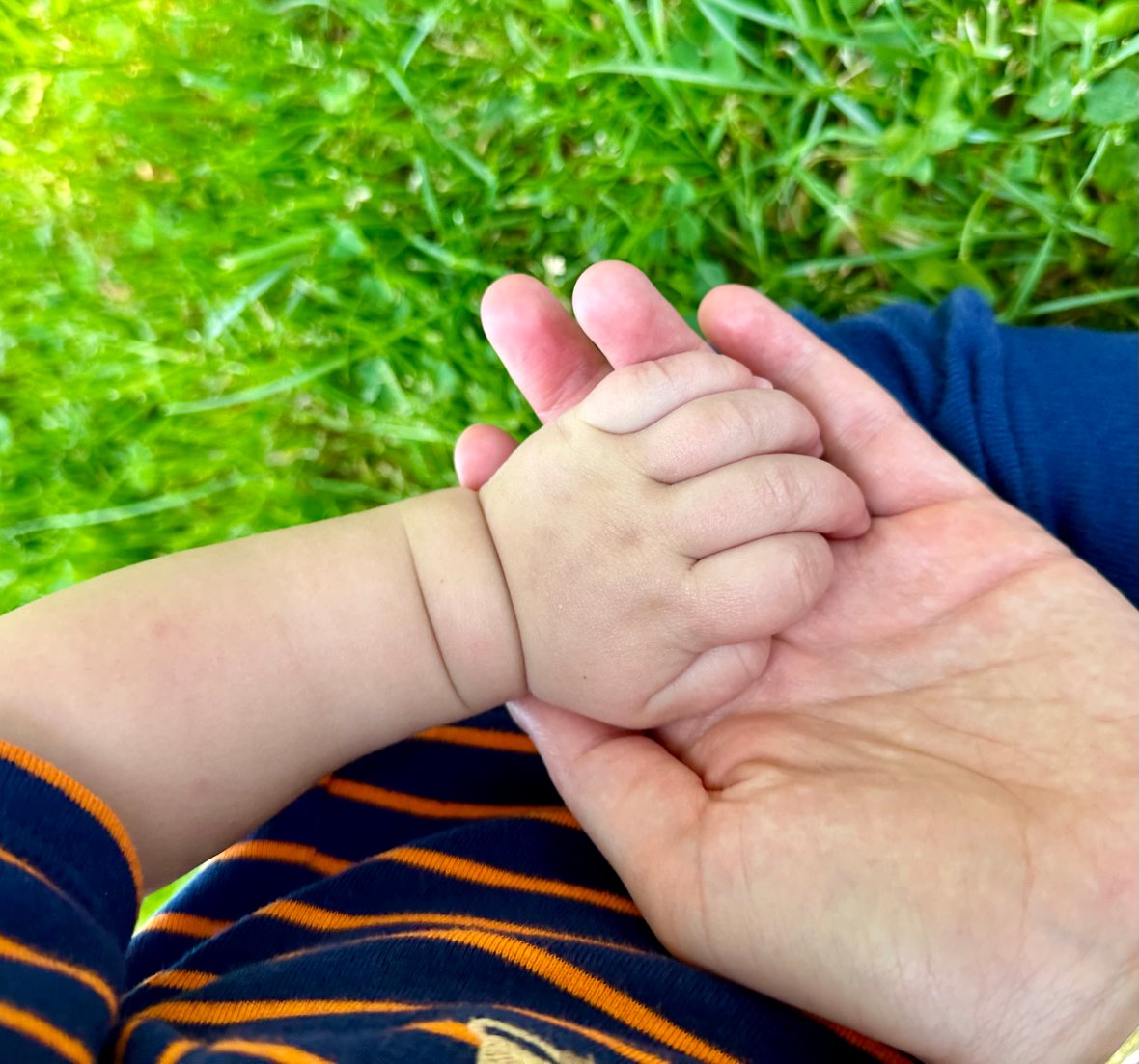 Zdjęcie główne wgrane przez użytkownika