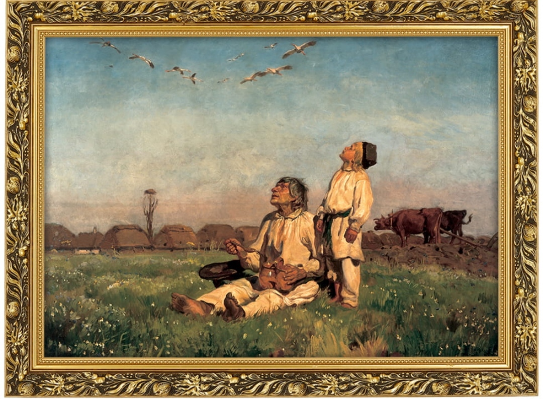 Zdjęcie główne wgrane przez użytkownika