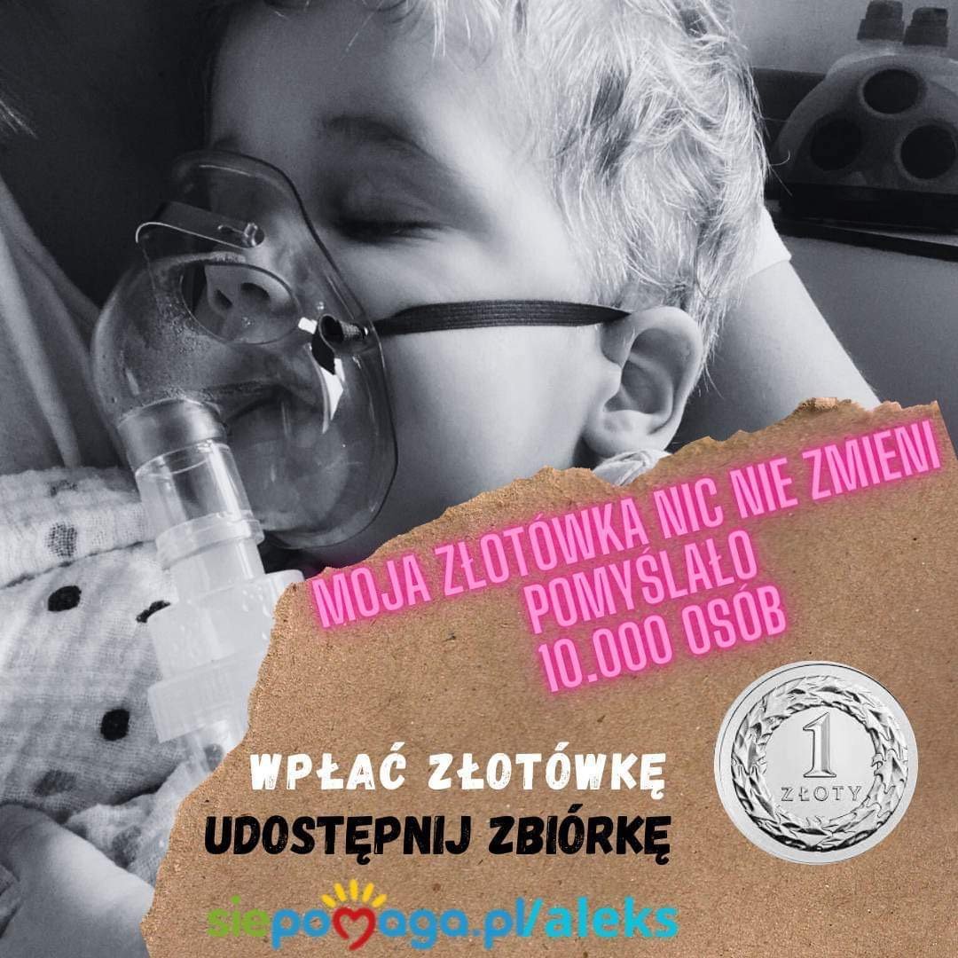 Zdjęcie główne wgrane przez użytkownika