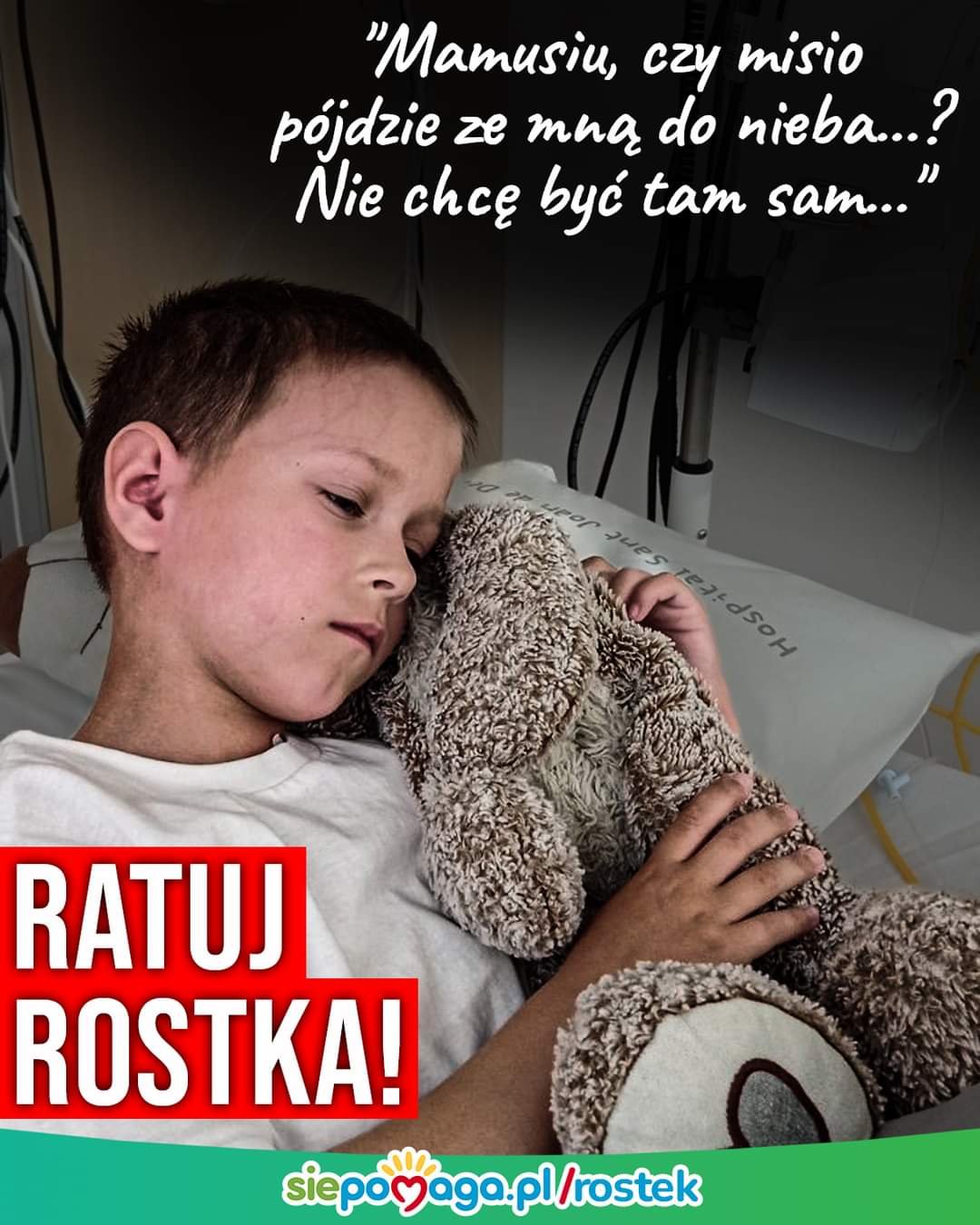 Main photo uploaded by the user