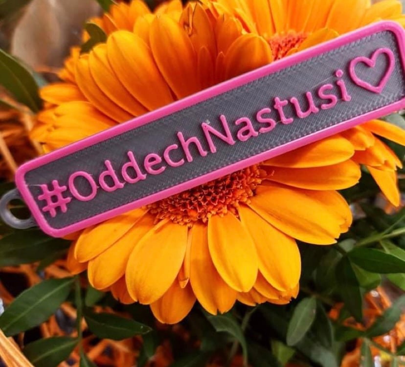 Main photo uploaded by the user