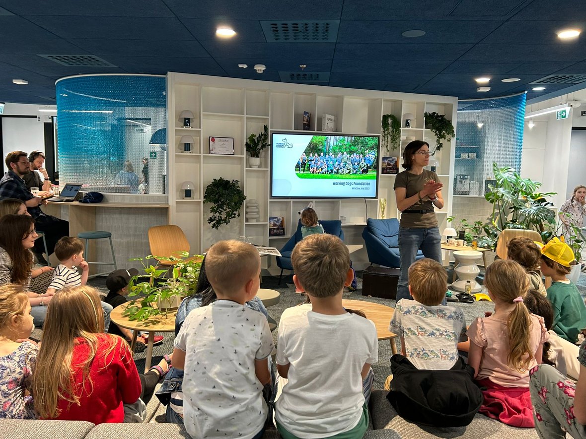 Zdjęcie główne wgrane przez użytkownika