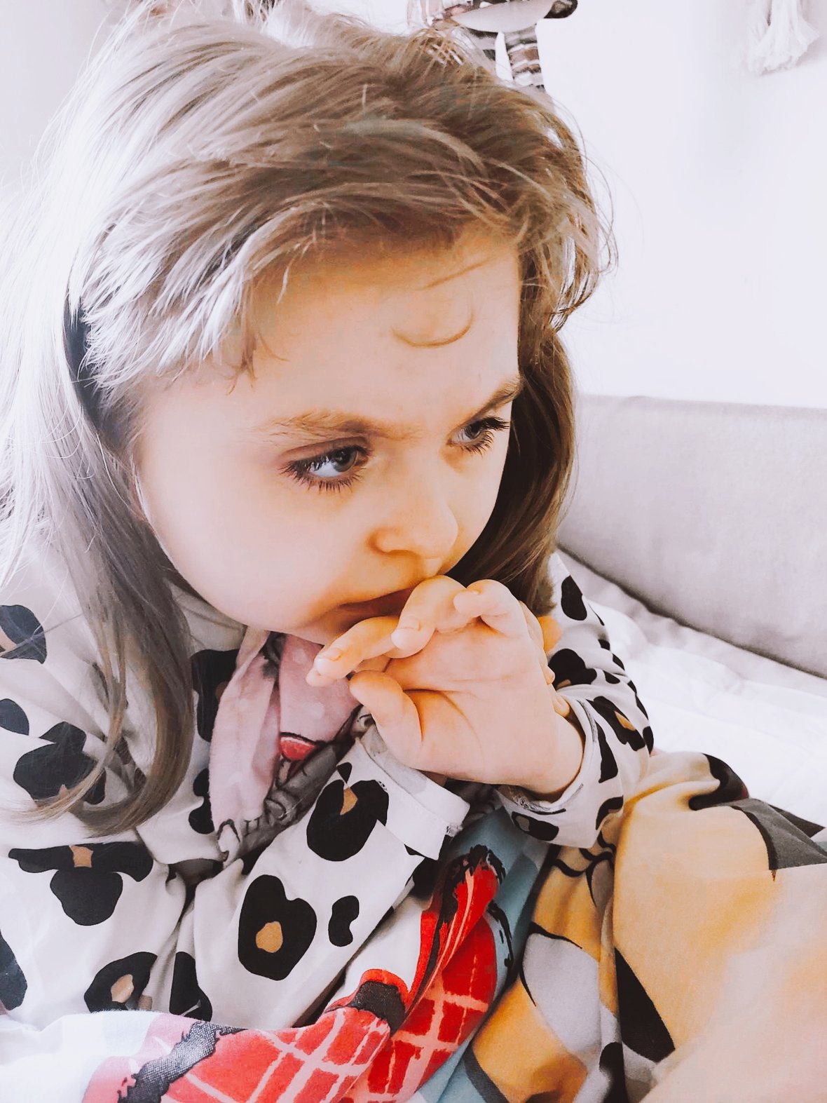 Zdjęcie główne wgrane przez użytkownika