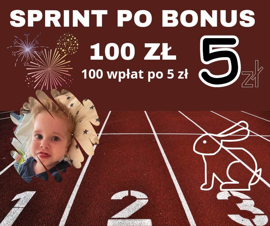 Zdjęcie główne wgrane przez użytkownika