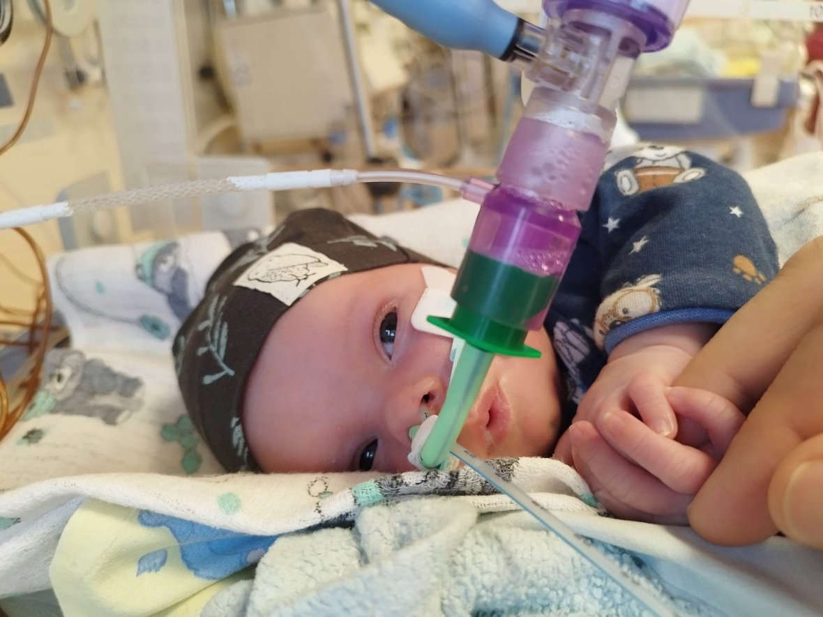 Zdjęcie główne wgrane przez użytkownika