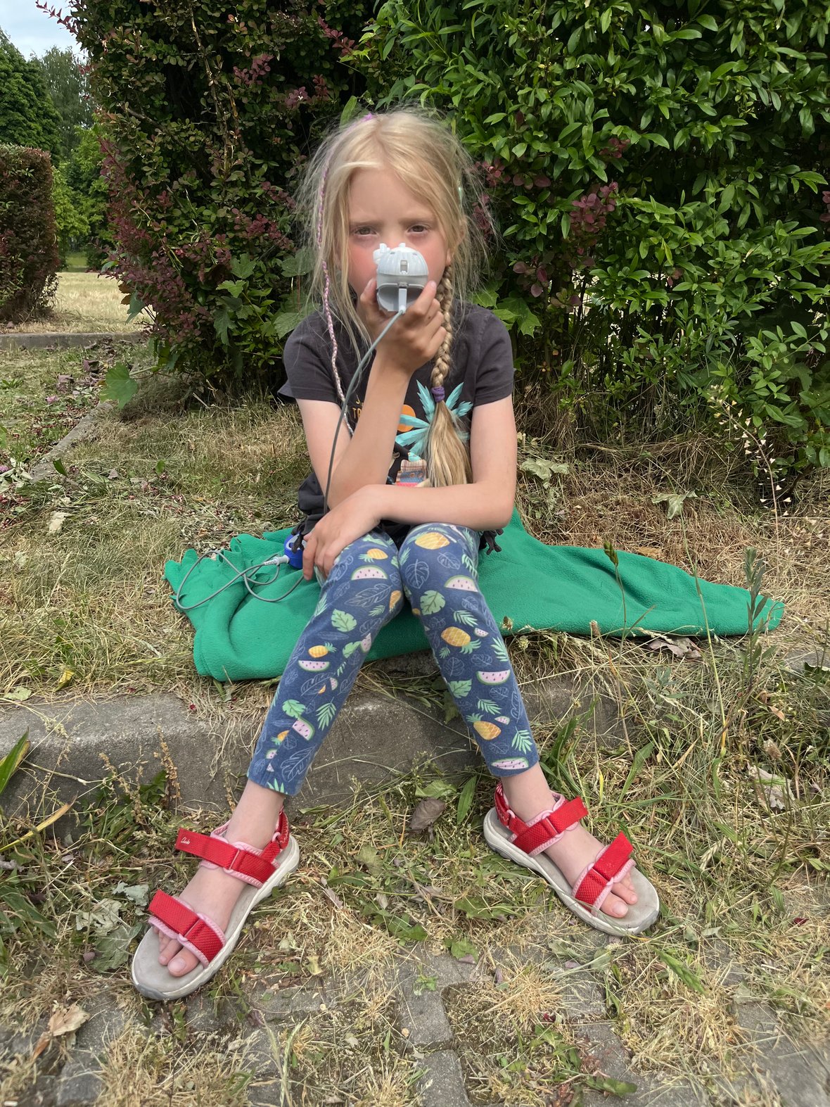 Main photo uploaded by the user