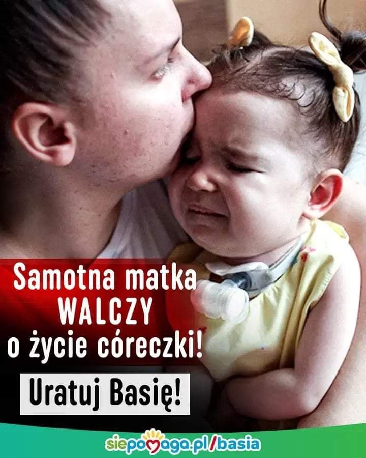 Zdjęcie główne wgrane przez użytkownika