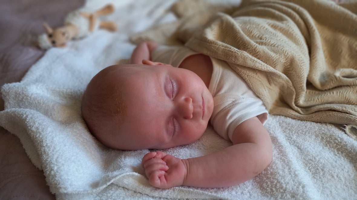 Zdjęcie główne wgrane przez użytkownika