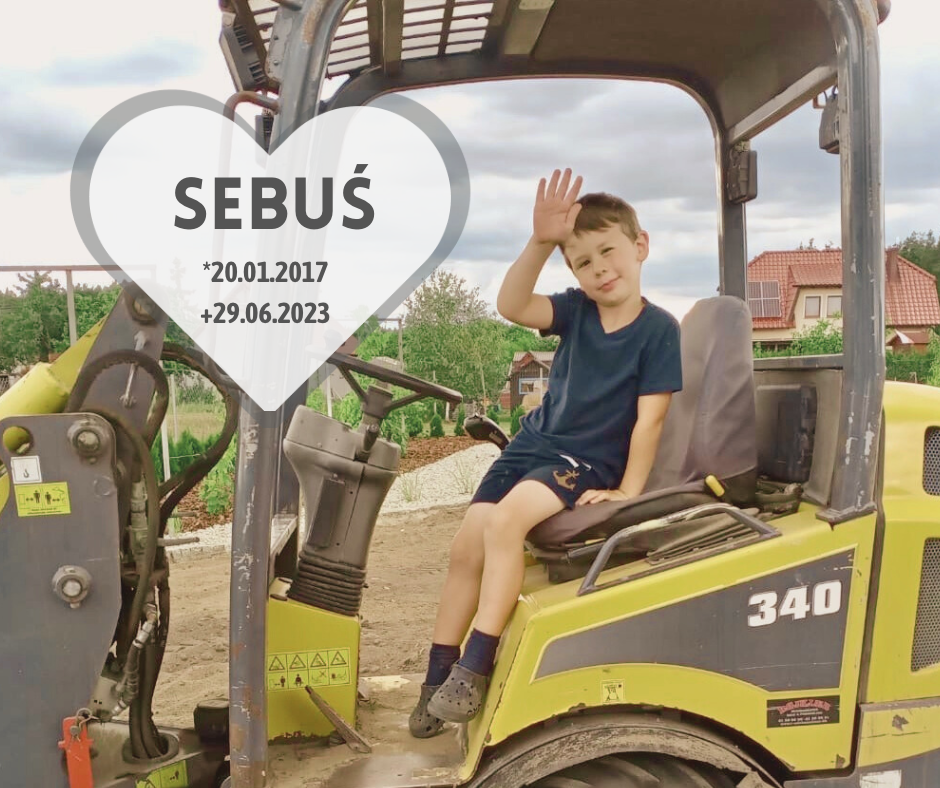 Zdjęcie główne wgrane przez użytkownika