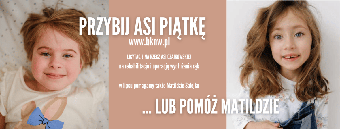 Main photo uploaded by the user