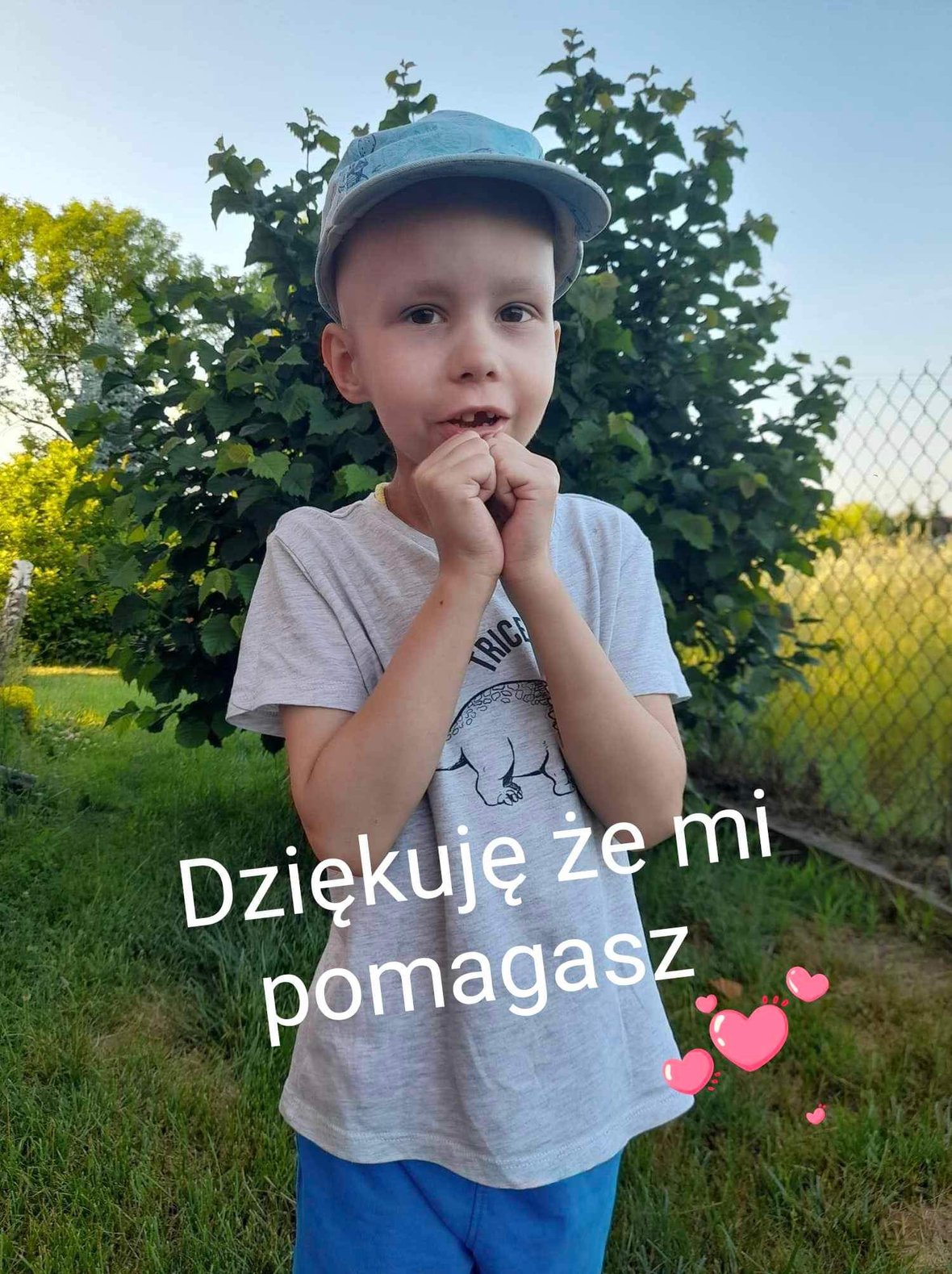 Zdjęcie główne wgrane przez użytkownika