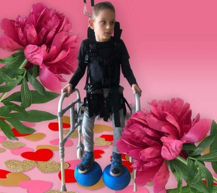 Zdjęcie główne wgrane przez użytkownika