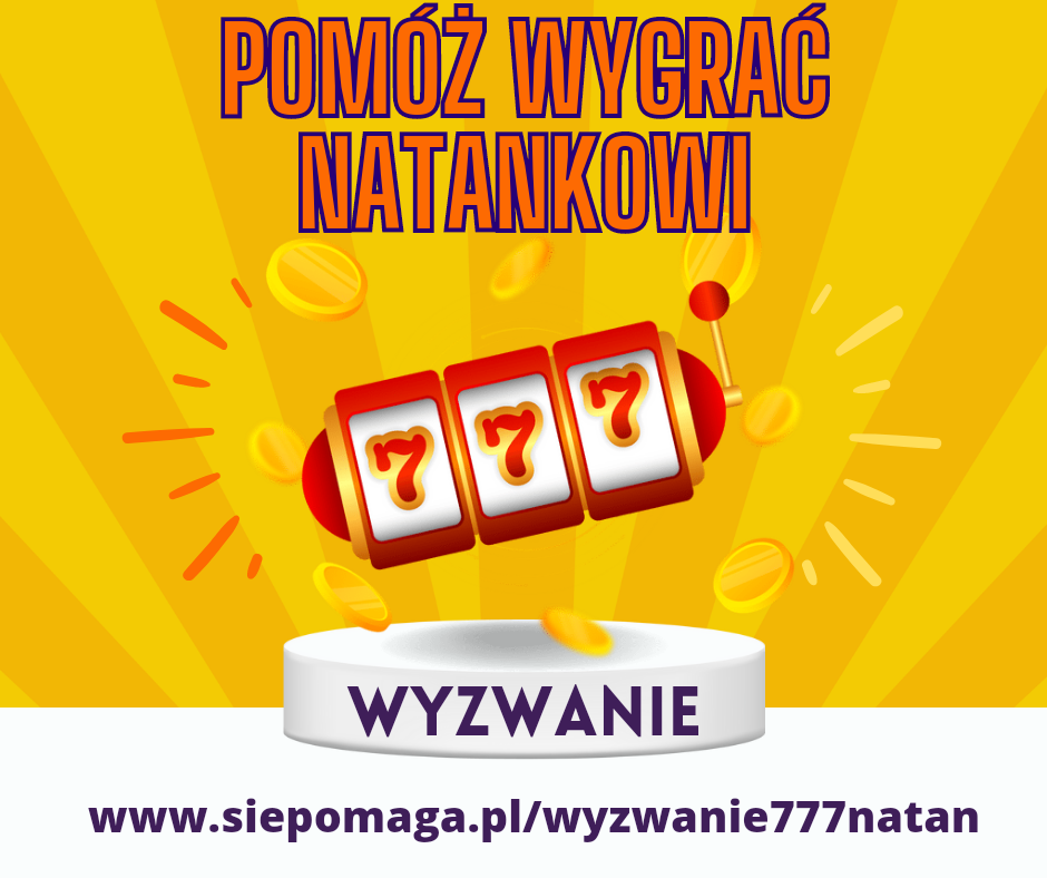 Zdjęcie główne wgrane przez użytkownika