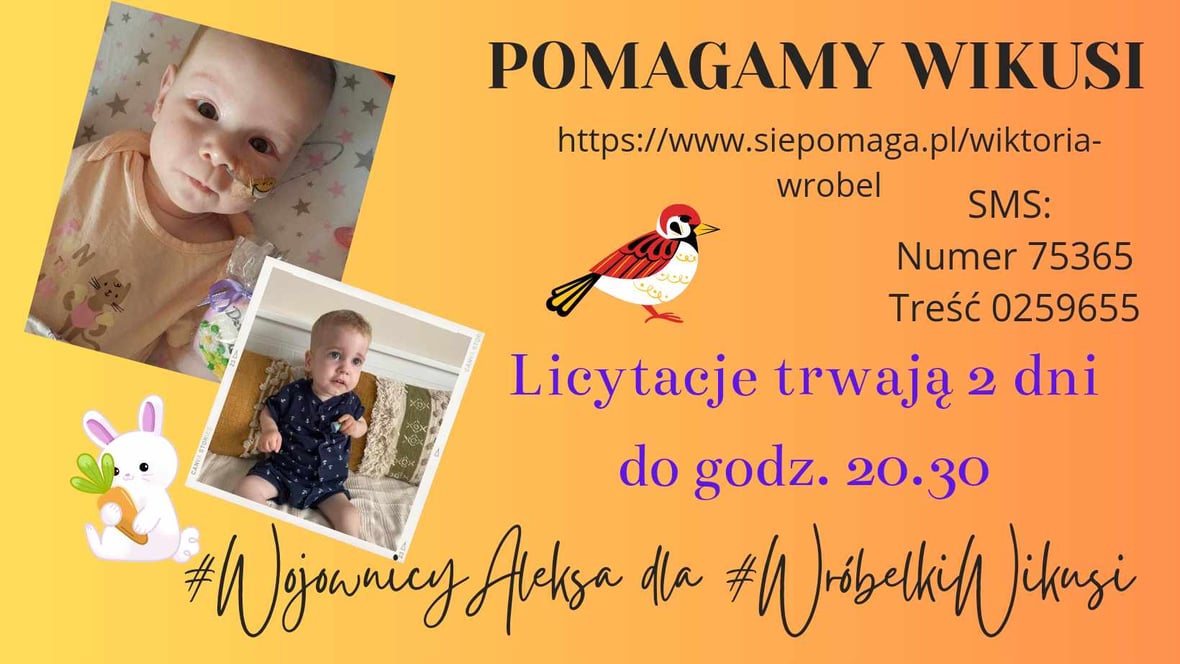 Zdjęcie główne wgrane przez użytkownika