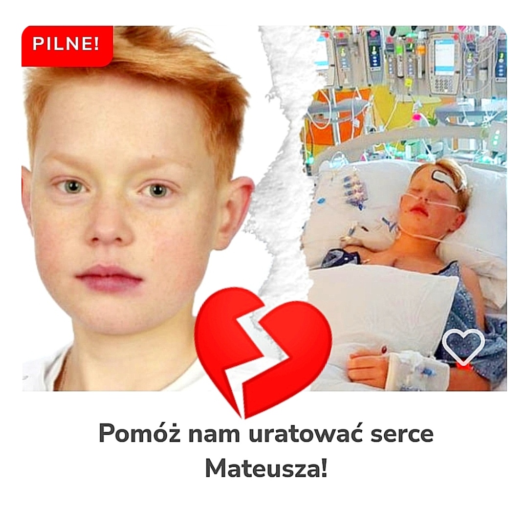 Main photo uploaded by the user