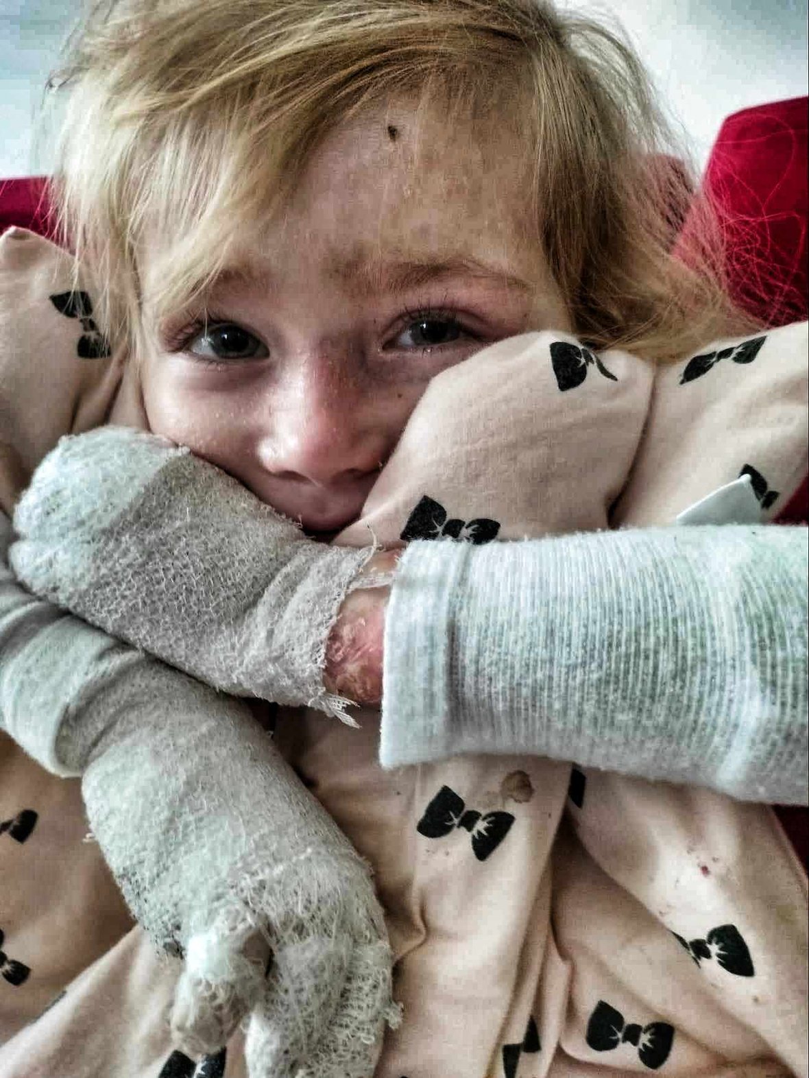 Zdjęcie główne wgrane przez użytkownika