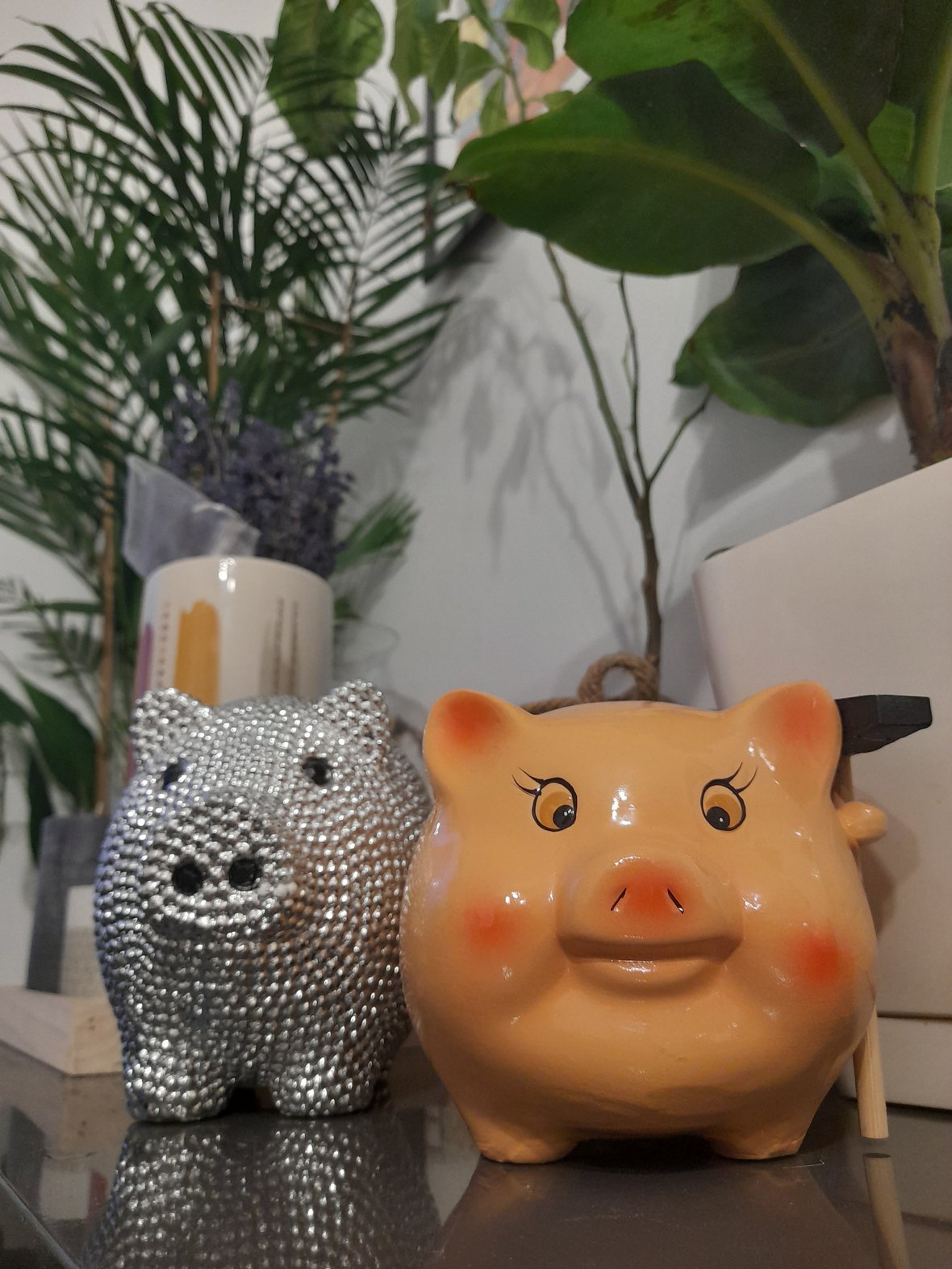 Zdjęcie główne wgrane przez użytkownika